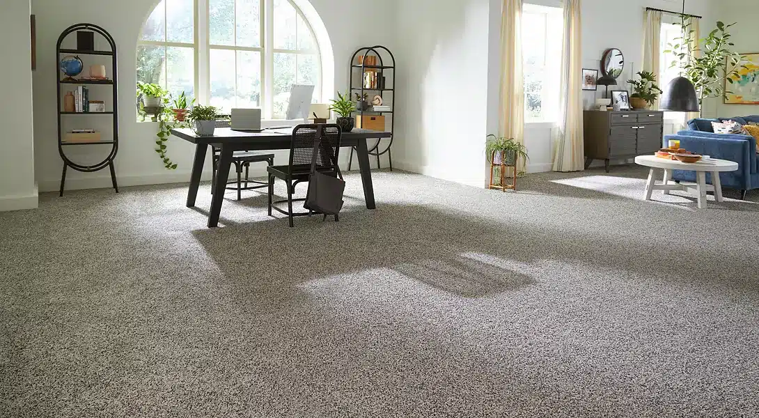 Plush carpet installed in a sunlit Minnesota living room
